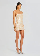 Heather Sequin Dress